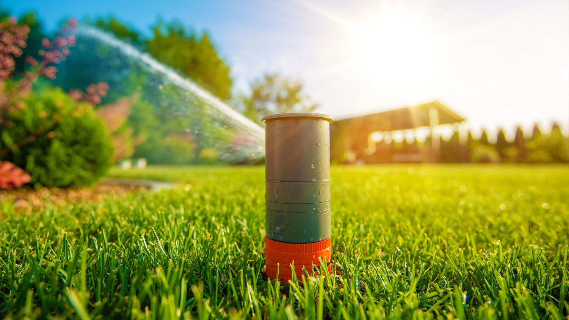 sprinkler